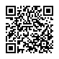 QR code zu den Gipfel  Plasteikopf