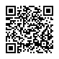 QR code zu  Palm'sches Schloss