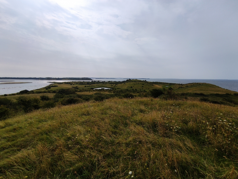 Blick nach Süden (Baesbanke)