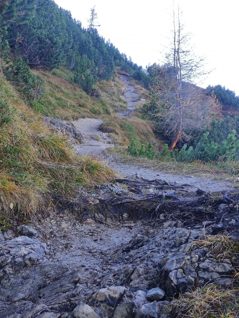 Zustieg zum Klettersteig