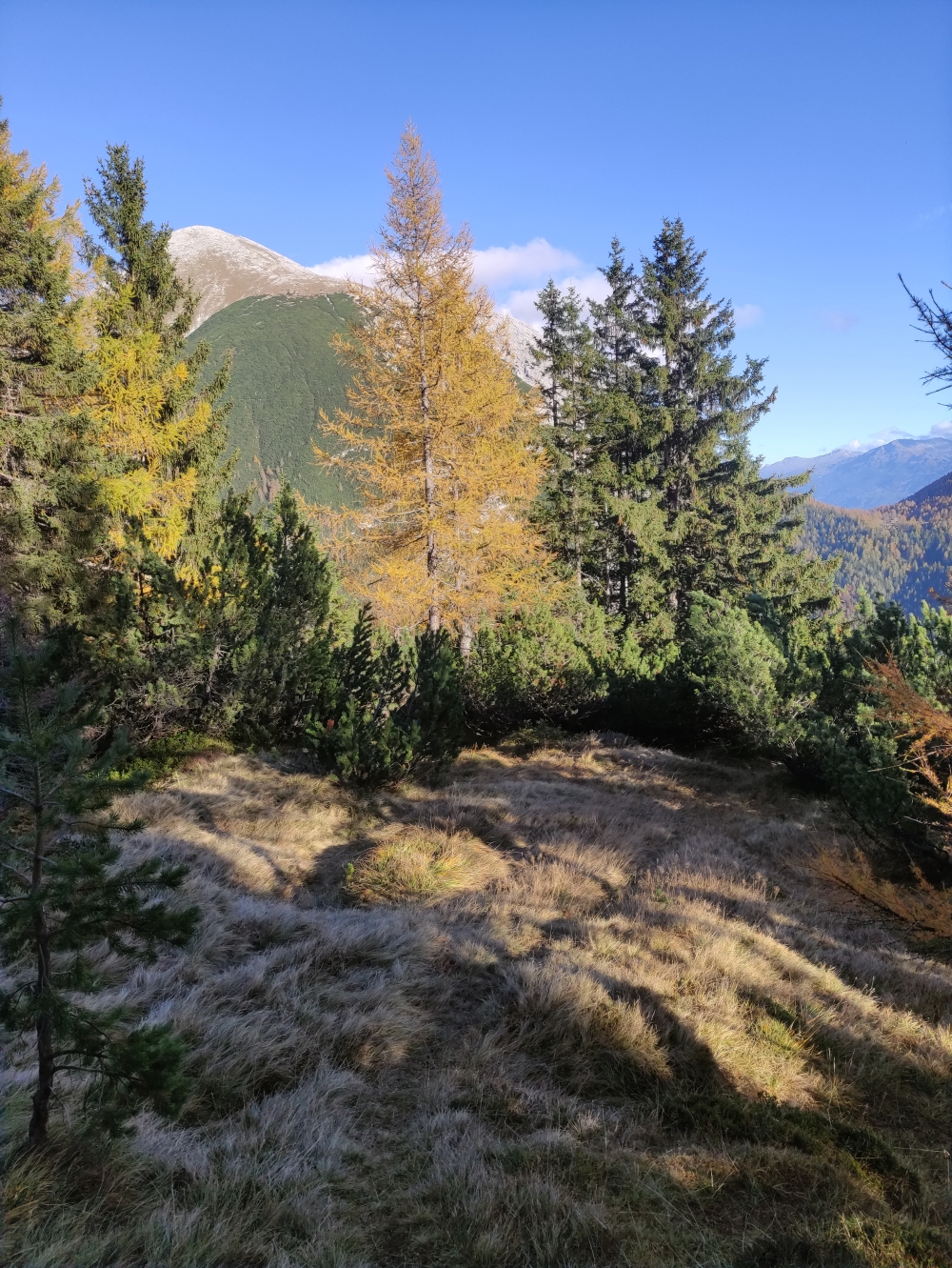 Der Weg am Ameiseck ist nicht immer leicht zu finden