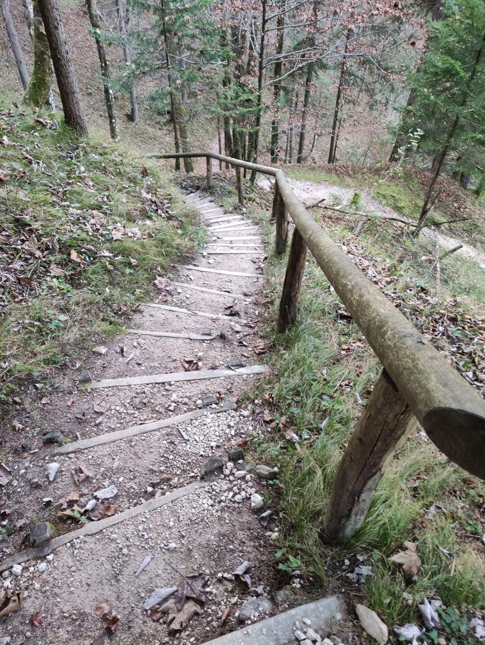 Abstieg zur Almbachklamm