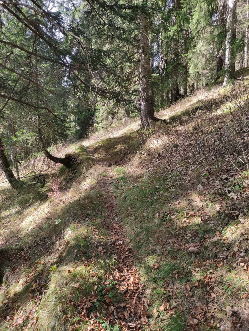 Schöner alter Höhenweg