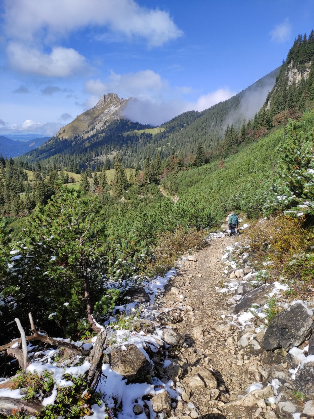 Weg mit Aggenstein-Blick