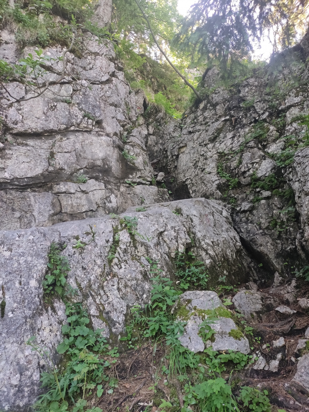 Gederer Wand -> Parkplatz Aigen: Der Felsdurchschlupf