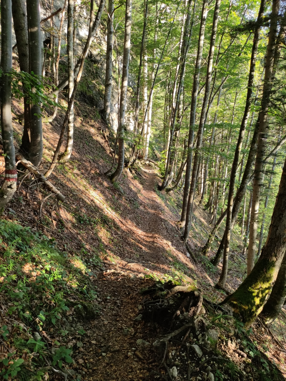 Abstecher zur Lourdes Grotte