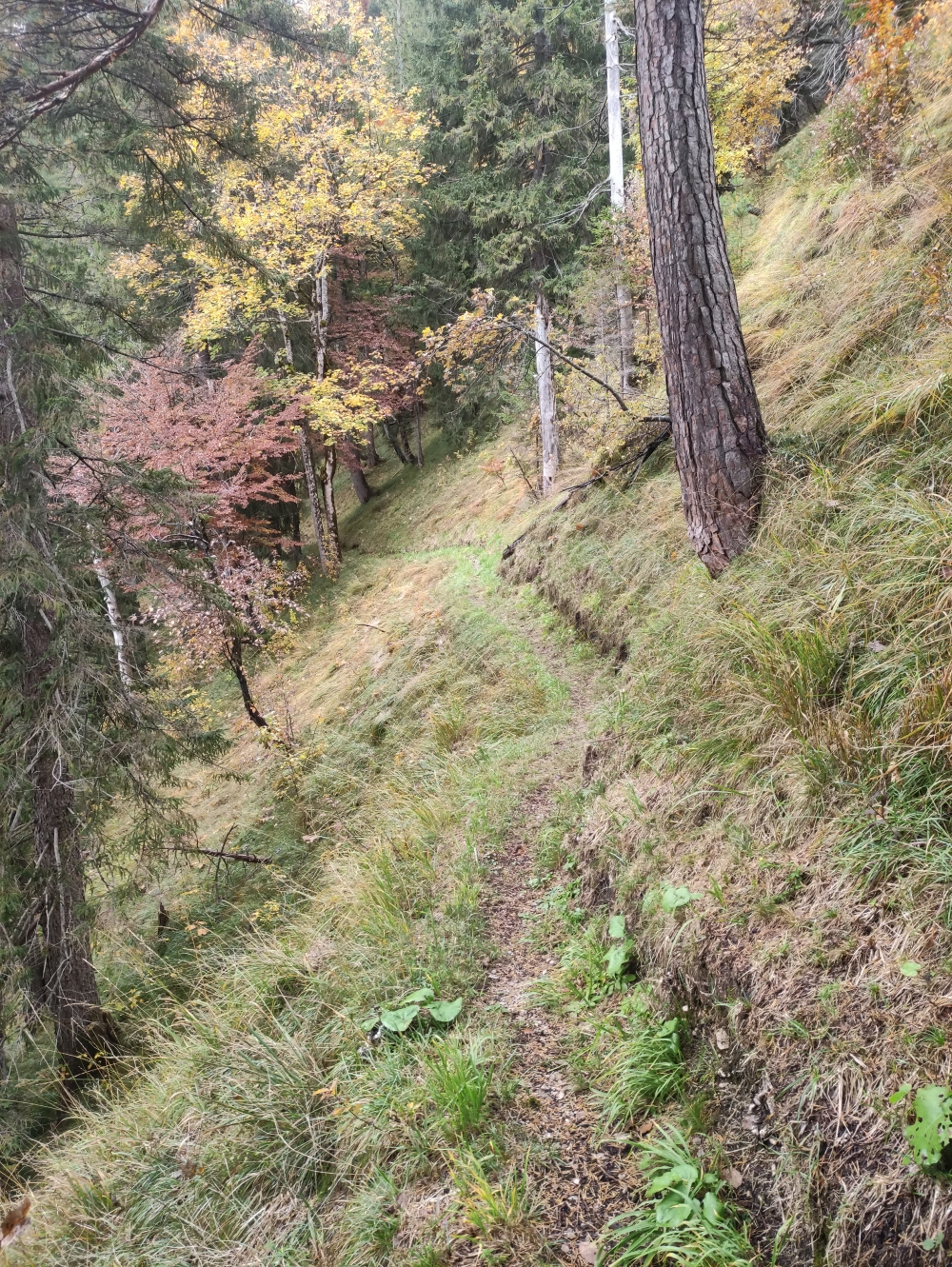 Schöne alte Wege