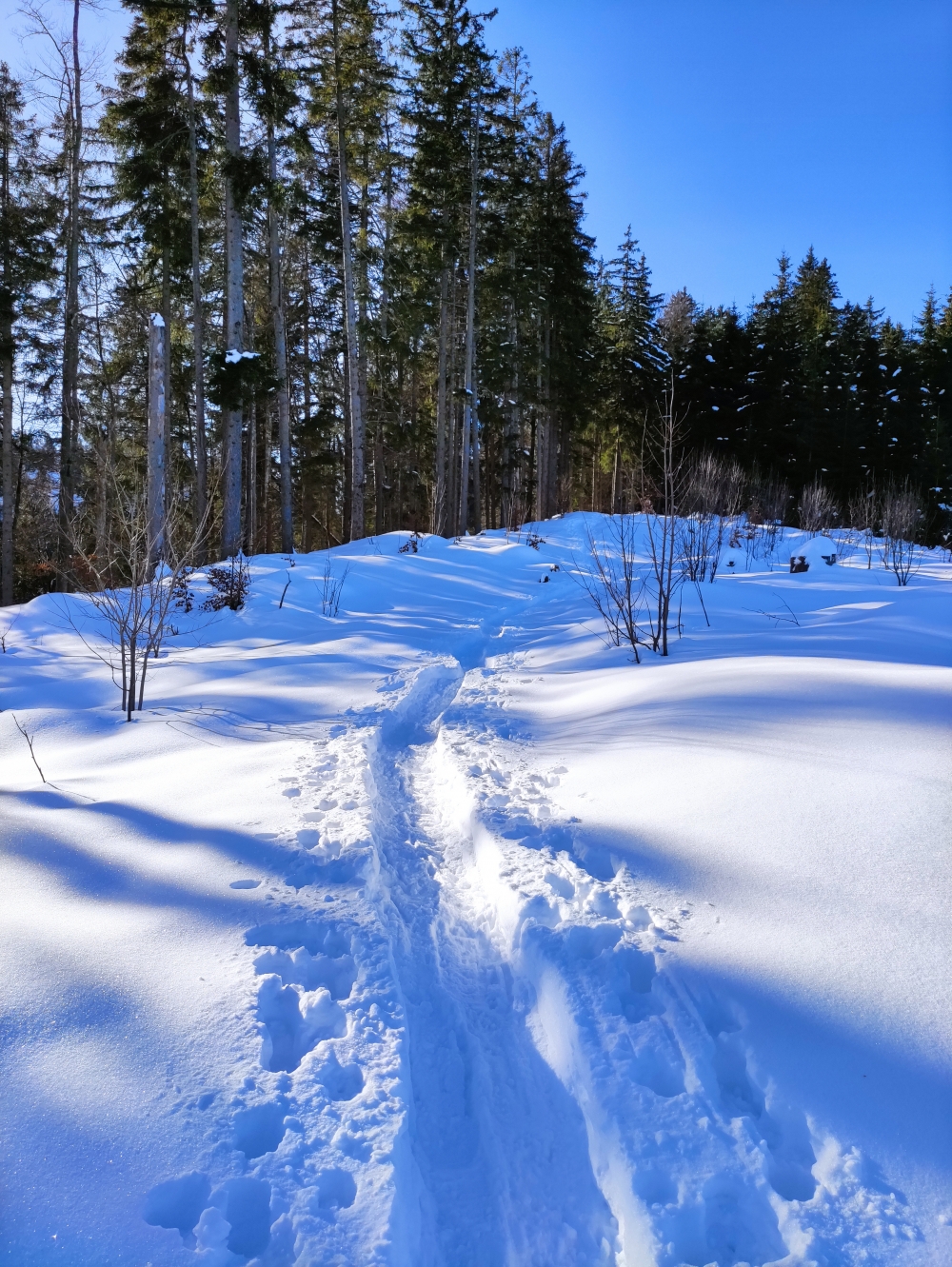 Grüntenhütte -> Neumayr-Hütte: Im Winter mit Schneeschuhen