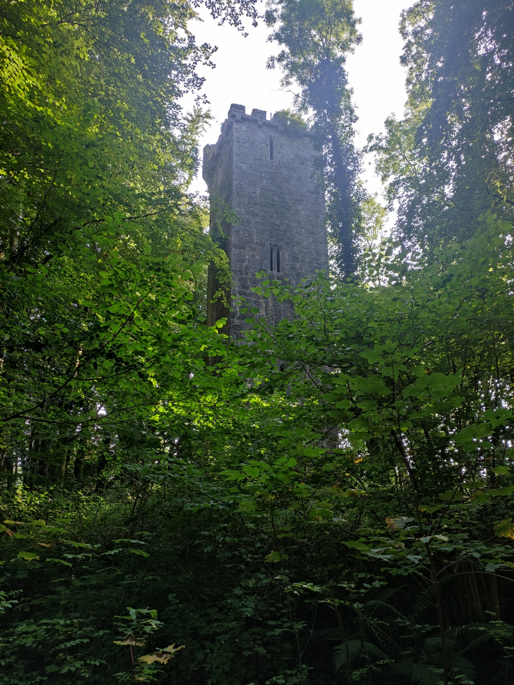 Guinness Tower