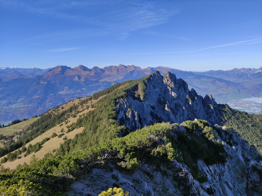 Blick zur Alpspitz (Helwangspitz)