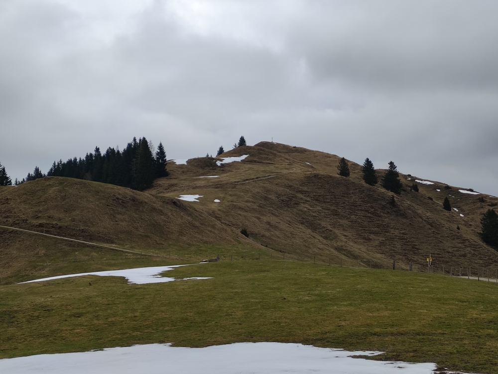 Brennkopf -> Hitscheralm: Zum Gipfel