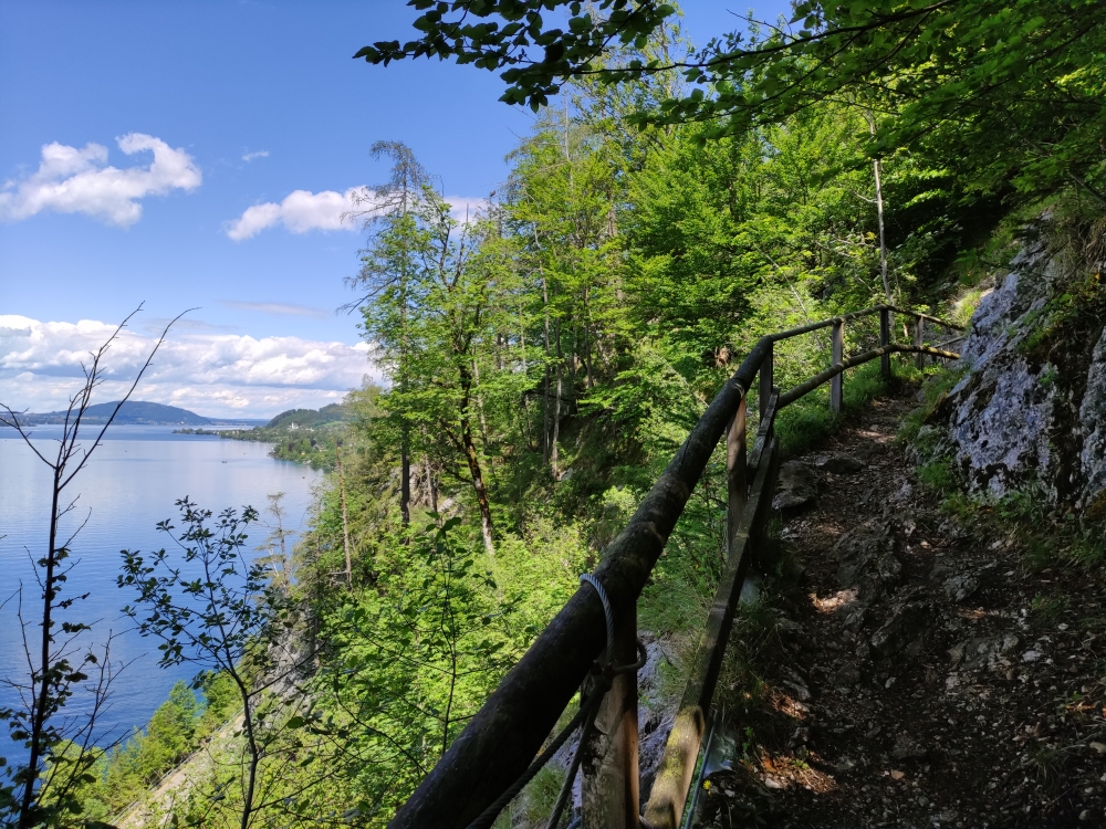 Am talnahen Höhenweg am Attersee