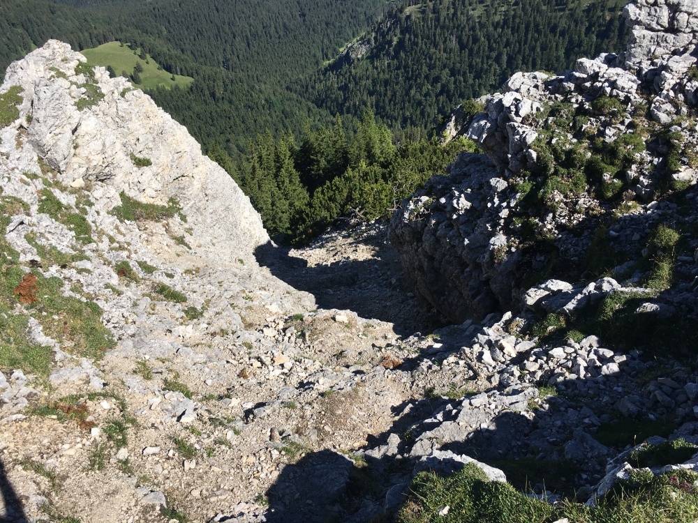 Lechnerkopf -> Hochsalwand: Aufstieg Hochsalwand
