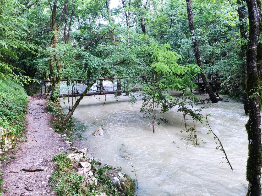 Brücke bei Hochwasser