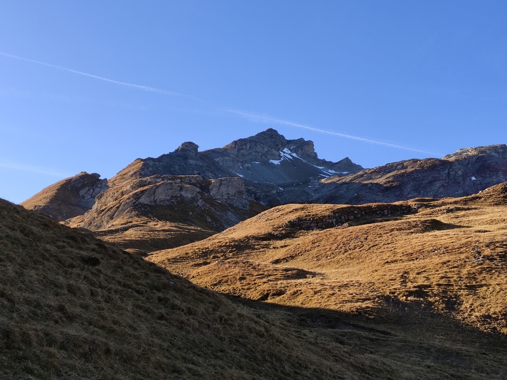 Blick auf den Naafkopf