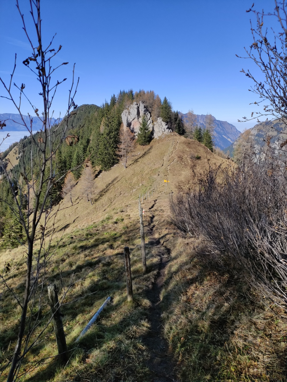 Über den Heubüal