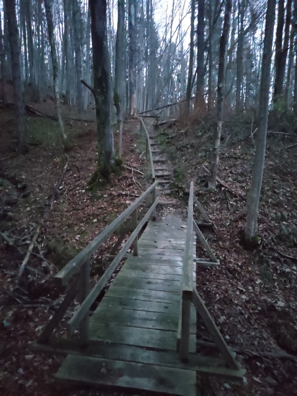 Unten der Höhenweg