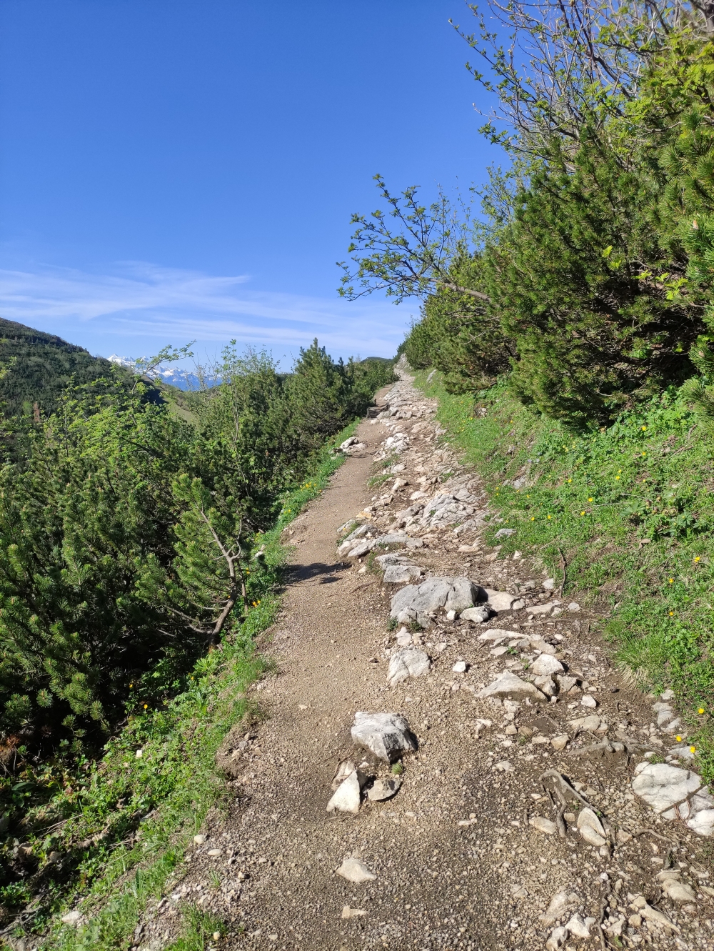 Der alte, breite Weg zum Alberfeldkogel