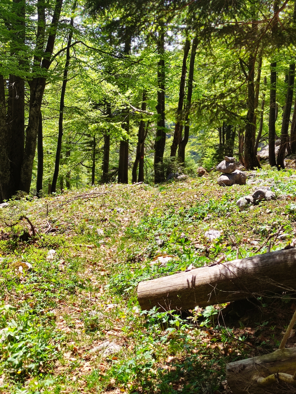 Steinmännchen weisen den Weg