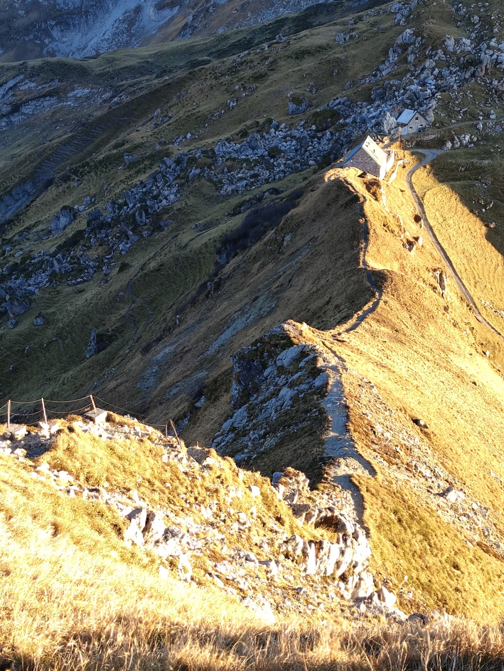 Abstieg in den Sattel zur Pfälzerhütte