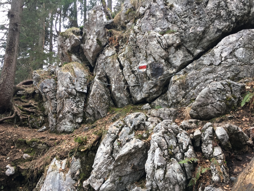 Rabensteinhorn Nordgipfel -> Pflasterbachhörndl: Kurze Seilsicherung unterhalb des Gipfels