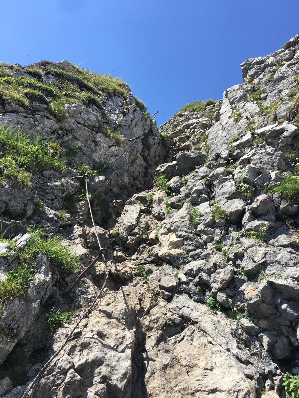 Taubenstein -> Taubensteinhaus: Die paar Meter zum Gipfel sind eigentlich unschwer aber dennoch seilgesichert