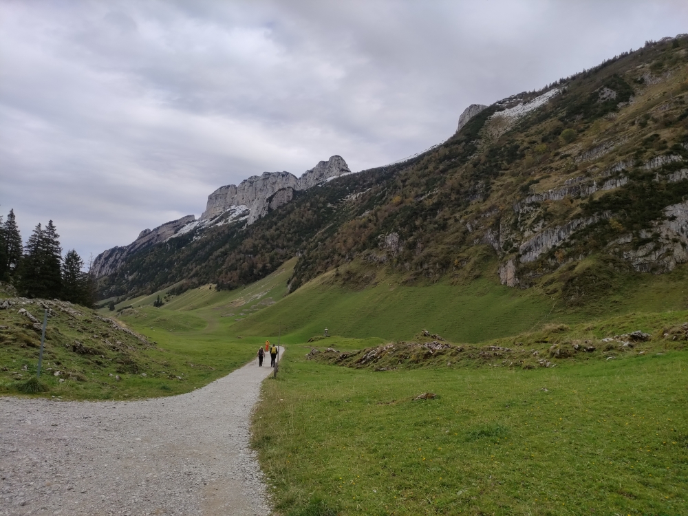 Forststraße zum Sämtisersee unter dem Hüser