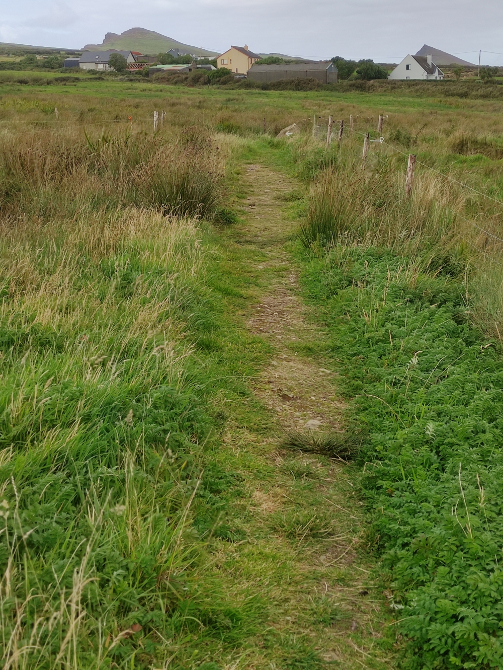 Weiße Pfeile auf Felsbrocken weisen den Weg