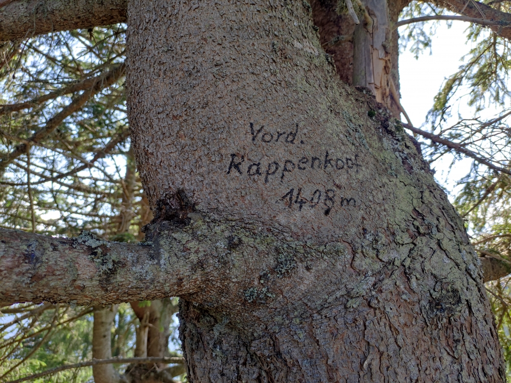 Gipfelmarkierung (Vorderer Rappenkopf)